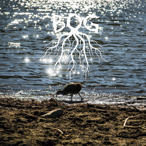 Bog (UK) : Poisoned Coast